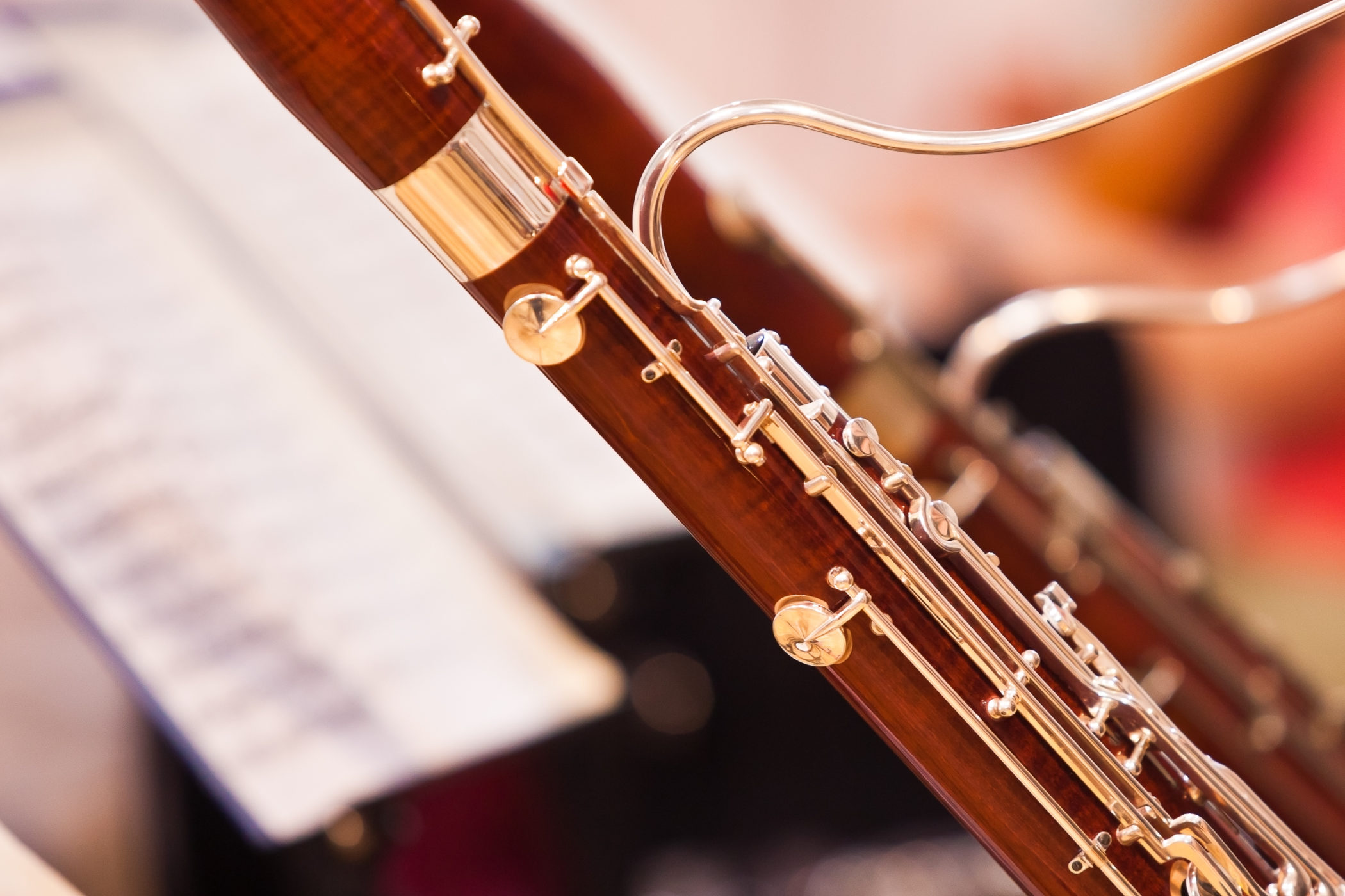 Cours De Basson Gen Ve Conservatoire Populaire De Musique Danse Et